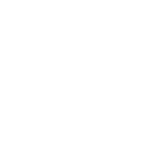 2024 Safety Initative